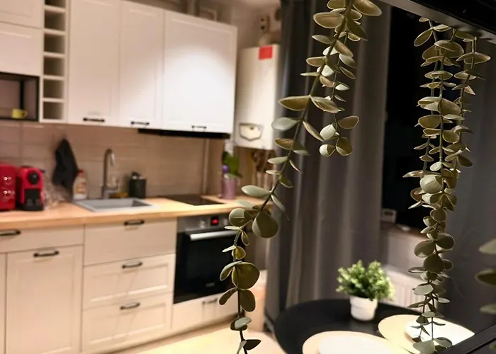 Cozy With Self Check-in Near Promenada Mall And Verdi Park Бухарест