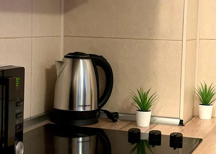 Cozy With Self Check-in Near Promenada Mall And Verdi Park * Bukarest